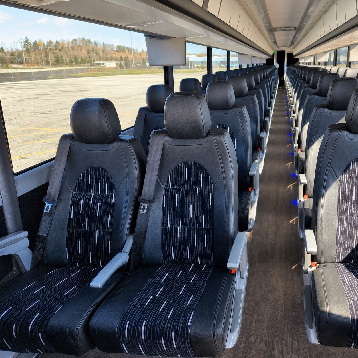 compare buses in minutes not days